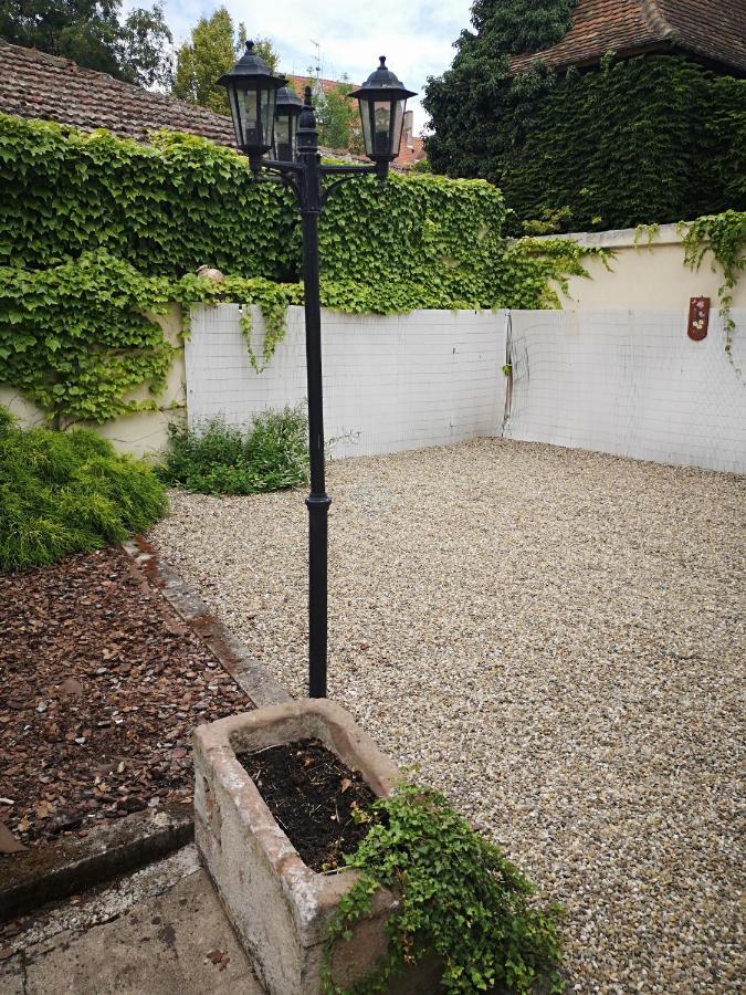 Appart 4 Pers Design Et Cosy Avec Jardin Au Coeur De Sélestat Eksteriør billede